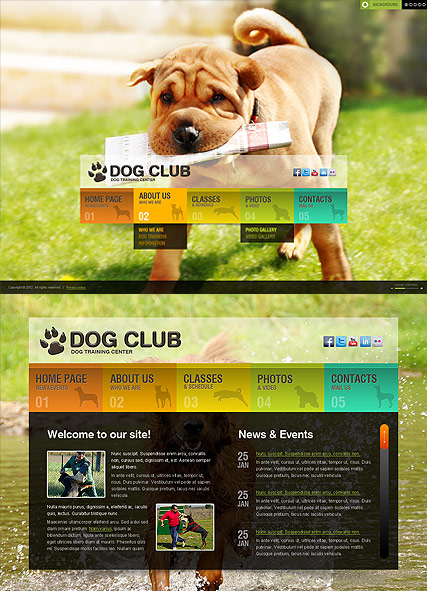 Dog Training HTML5 template ID:300111382