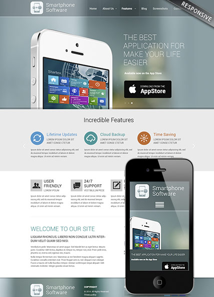 Application developer Wordpress template ID:300111790