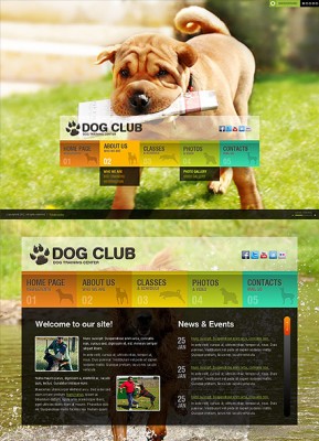 Dog Training HTML5 template ID: 300111382