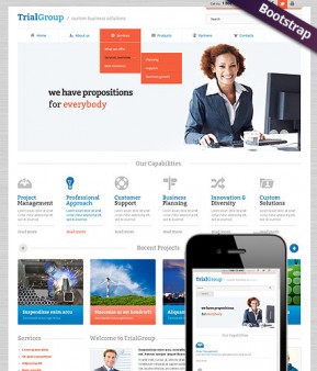 Business Company Bootstrap template ID: 300111595