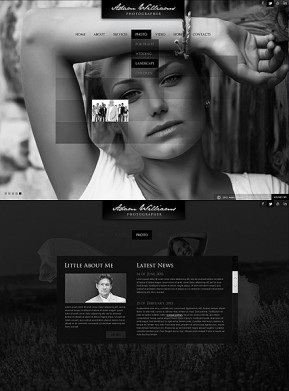 Portfolio HTML5 Gallery Admin ID: 300111625