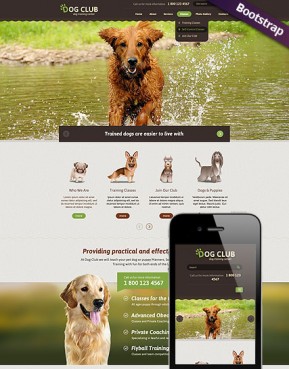 Dog Club Bootstrap template ID: 300111761