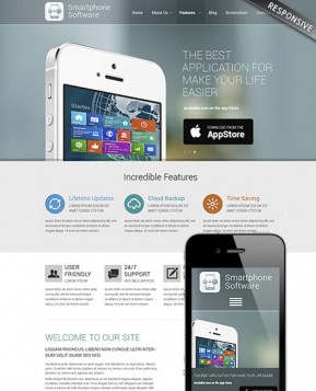 Application developer Wordpress template ID: 300111790