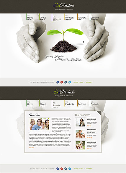 Ecology Products HTML5 template ID:300111657