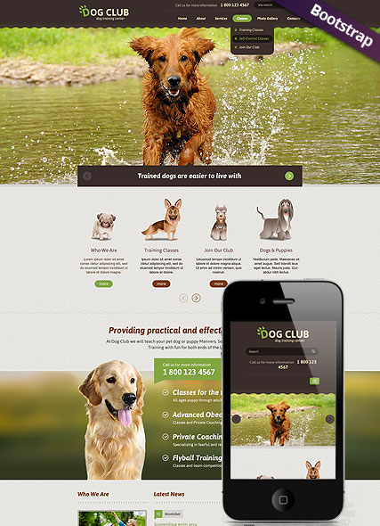 Dog Club Bootstrap template ID:300111761