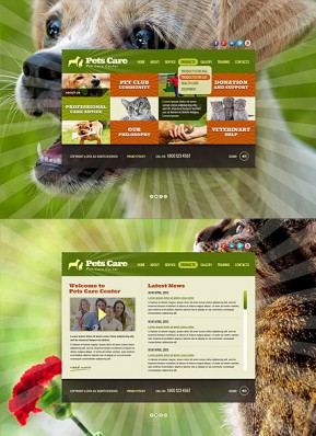 Pet Care Service HTML5 template ID: 300111627